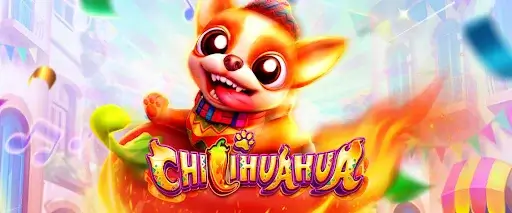 Featured FACHAI Chilihuahua Game