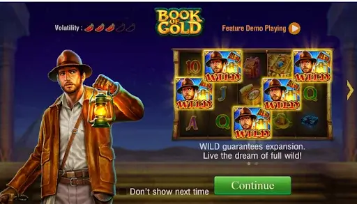 JILI Book of Gold Game